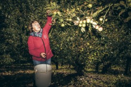 Cider House Eguskiza