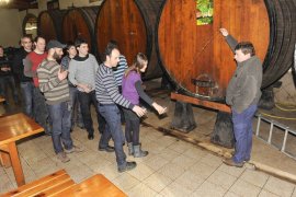 Cider House Alorrenea