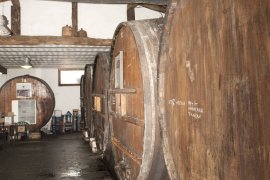 Cider House Astiazaran