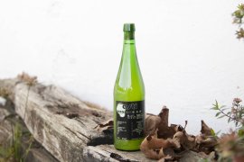 Cider House Astiazaran