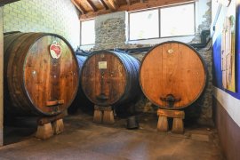 Cider House Gartziategi