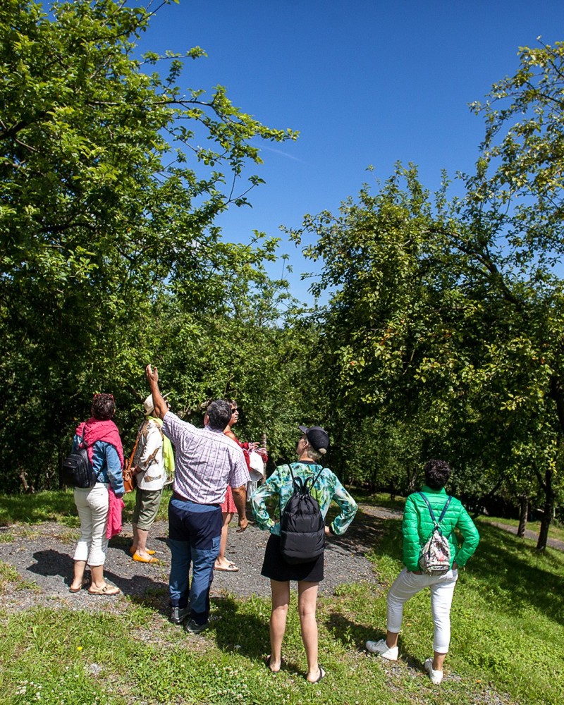 EXCURSION À UNE CIDRERIE BASQUE AVEC TRANSPORT