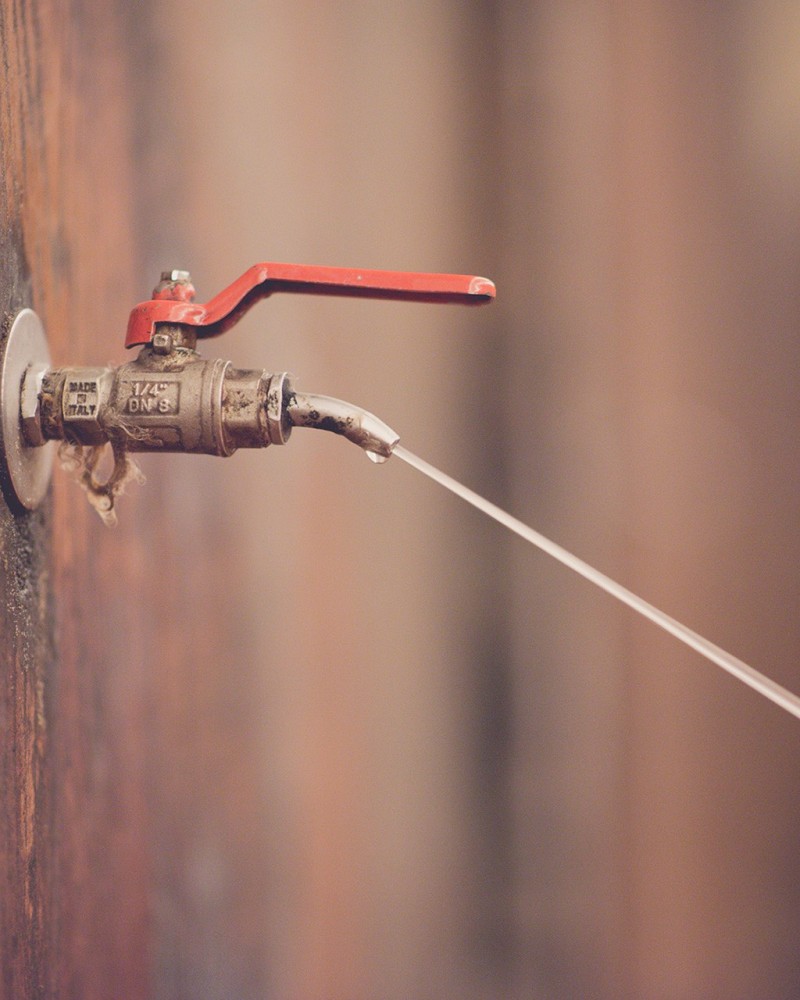 Taller de zumo de manzana en familia Taller de zumo de manzana en familia
