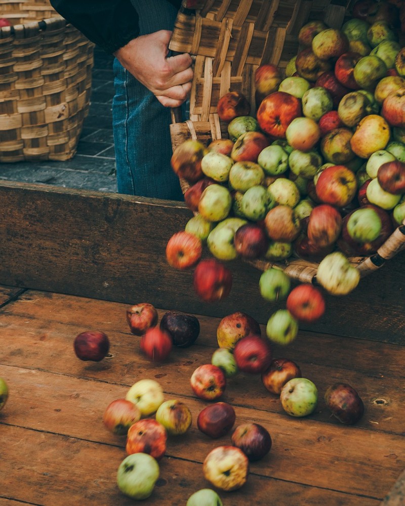 FERME BASQUE ET CAVE À CIDRE