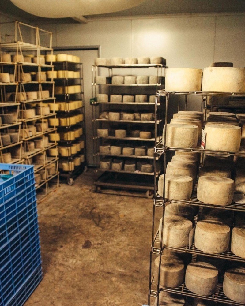 CIDER HOUSE, BASQUE FARM HOUSE AND CHEESE FACTORY