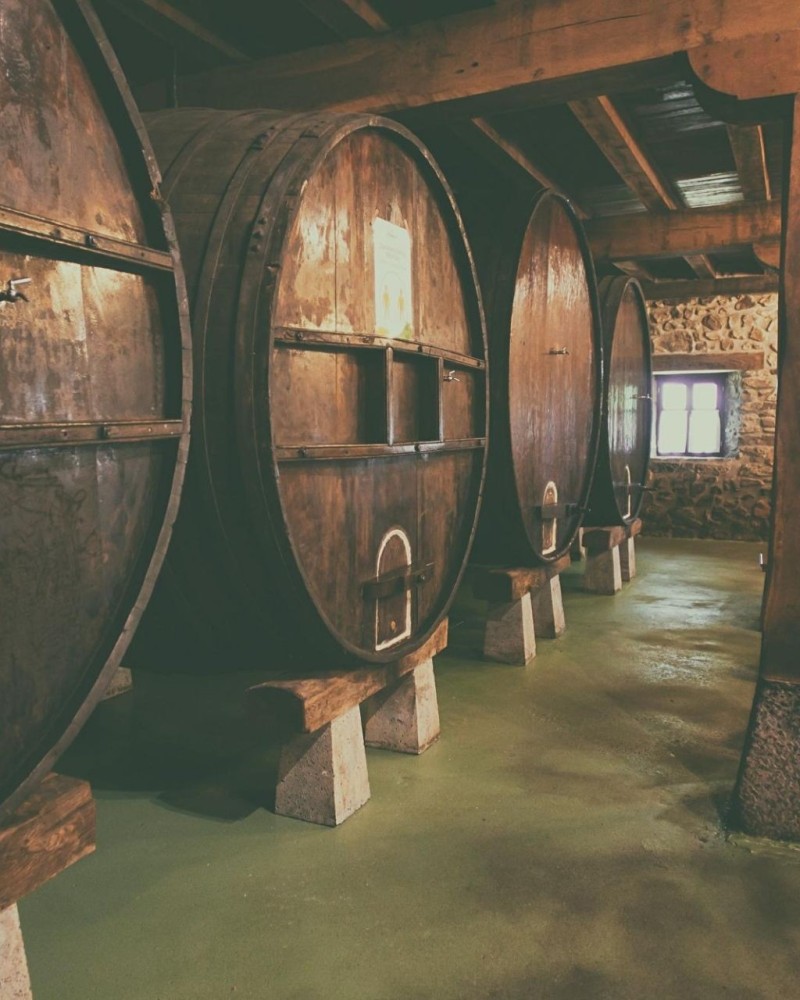 CIDER AND TXAKOLI CELLARS IN THE BASQUE COAST