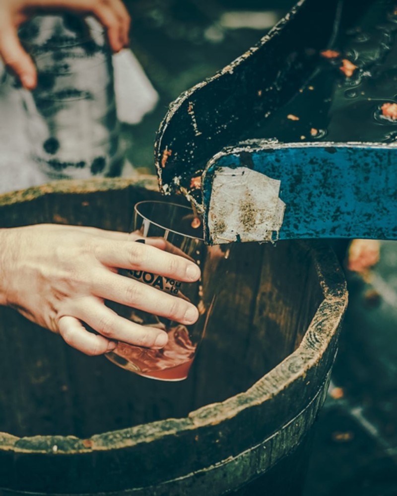 FERME BASQUE ET CAVE À CIDRE AVEC TRANSPORT FERME BASQUE ET CAVE À CIDRE AVEC TRANSPORT