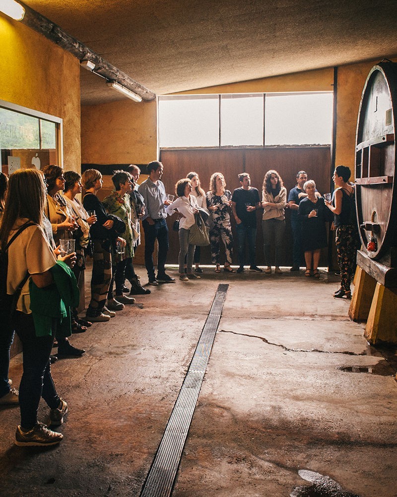 VISITA EN LA BODEGA IPARRAGIRRE VISITA EN LA BODEGA IPARRAGIRRE