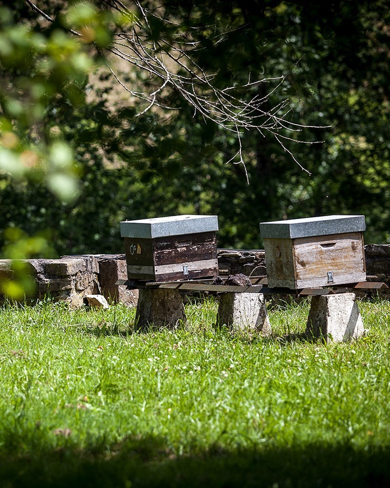 BISITA ETA BAZKARIA OLA SAGARDOTEGIAN BISITA ETA BAZKARIA OLA SAGARDOTEGIAN