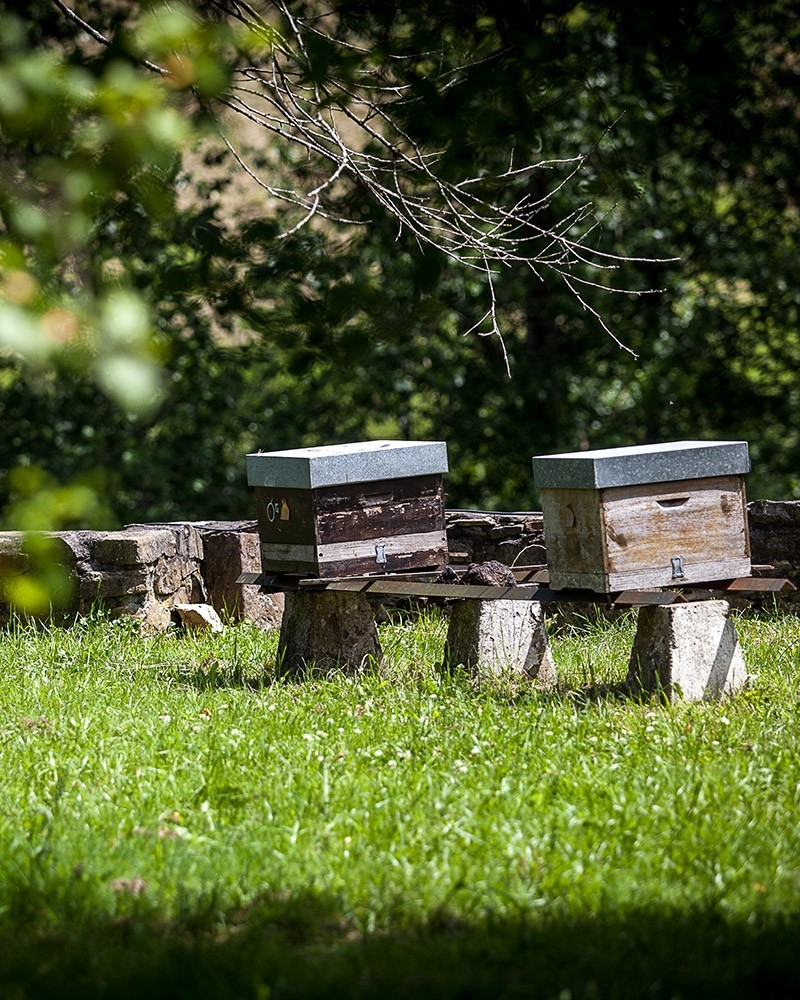 VISITÉ GUIDÉE ET DÉJEUNER DANS LA CIDRERIE OLA VISITÉ GUIDÉE ET DÉJEUNER DANS LA CIDRERIE OLA