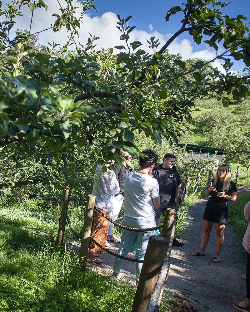 GUIDED TOUR WITH MEAL IN SAIZAR CIDER HOUSE GUIDED TOUR WITH MEAL IN SAIZAR CIDER HOUSE