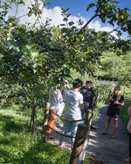 VISITÉ (1 h) ET DÉJEUNER DANS UNE CIDRERIE BASQUE VISITÉ (1 h) ET DÉJEUNER DANS UNE CIDRERIE BASQUE