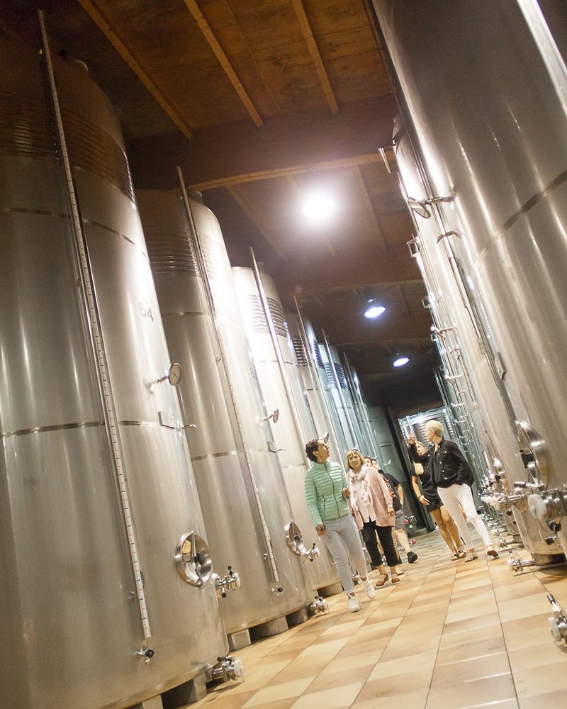 GUIDED TOUR WITH MEAL IN A BASQUE CIDER HOUSE GUIDED TOUR WITH MEAL IN A BASQUE CIDER HOUSE