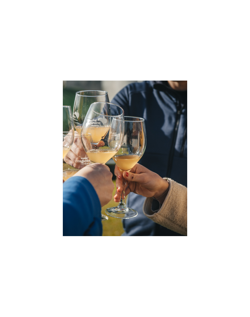 Visita y comida en la Sidrería Gaztañaga