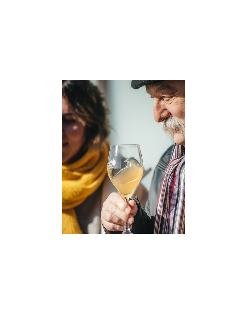 Visite et repas dans la Cidrerie Gaztañaga