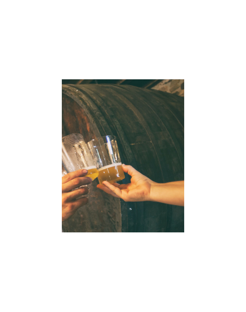 VISITE GUIDÉE ET REPAS À MIZPIRADI VISITE GUIDÉE ET REPAS À MIZPIRADI