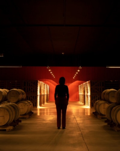 BASQUE CIDER AND RIOJA WINE TOUR