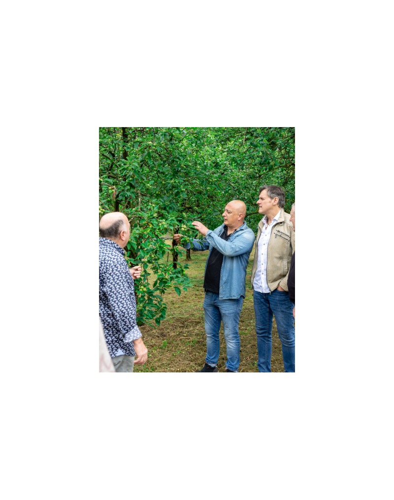 VISITÉ GUIDÉE ET DÉJEUNER DANS LA CIDRERIE ALTZUETA VISITÉ GUIDÉE ET DÉJEUNER DANS LA CIDRERIE ALTZUETA