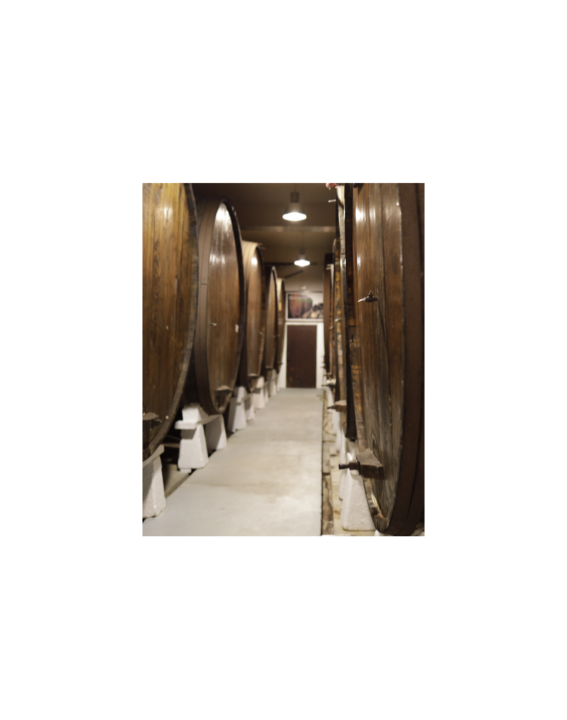 Bisita gidatua eta otordua Bereziartuan Bisita gidatua eta otordua Bereziartuan