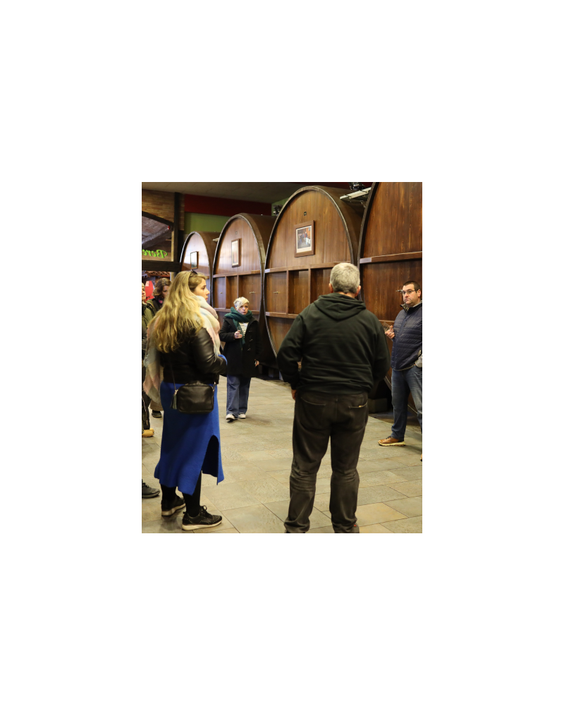 Guided tour in Bereziartua Guided tour in Bereziartua