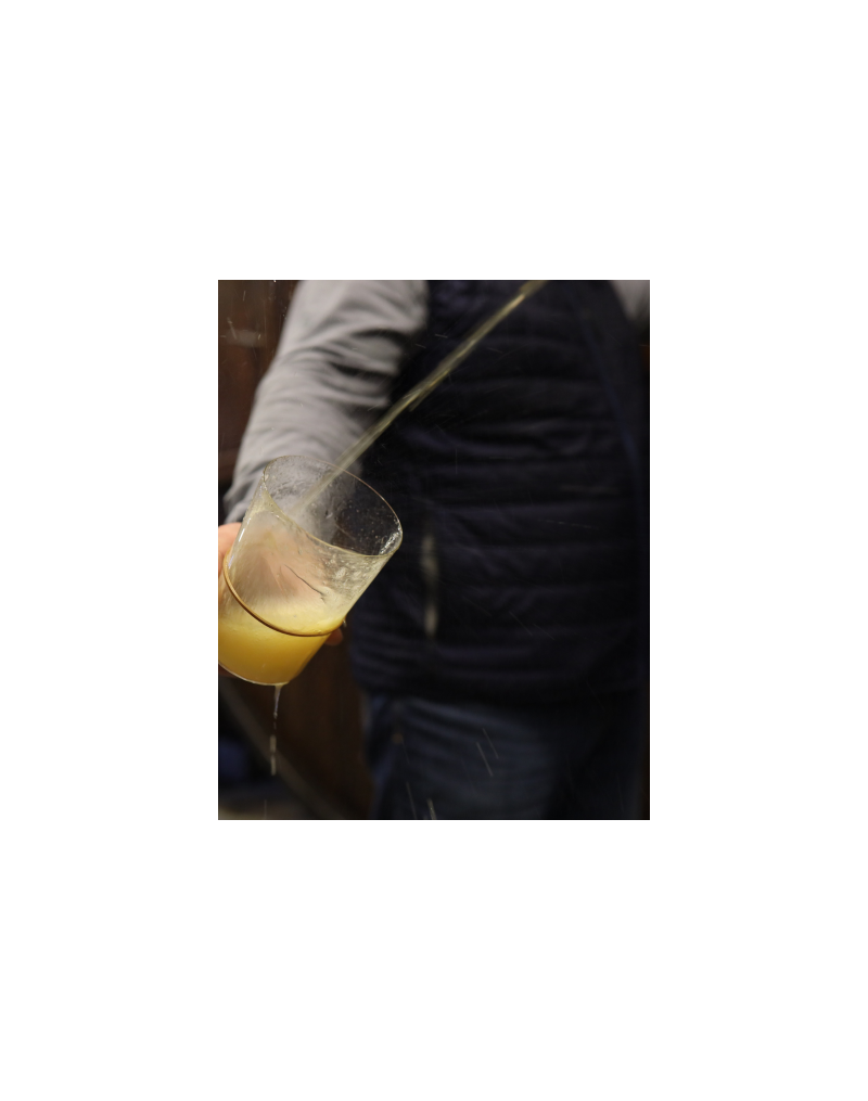 Guided tour in Bereziartua Guided tour in Bereziartua