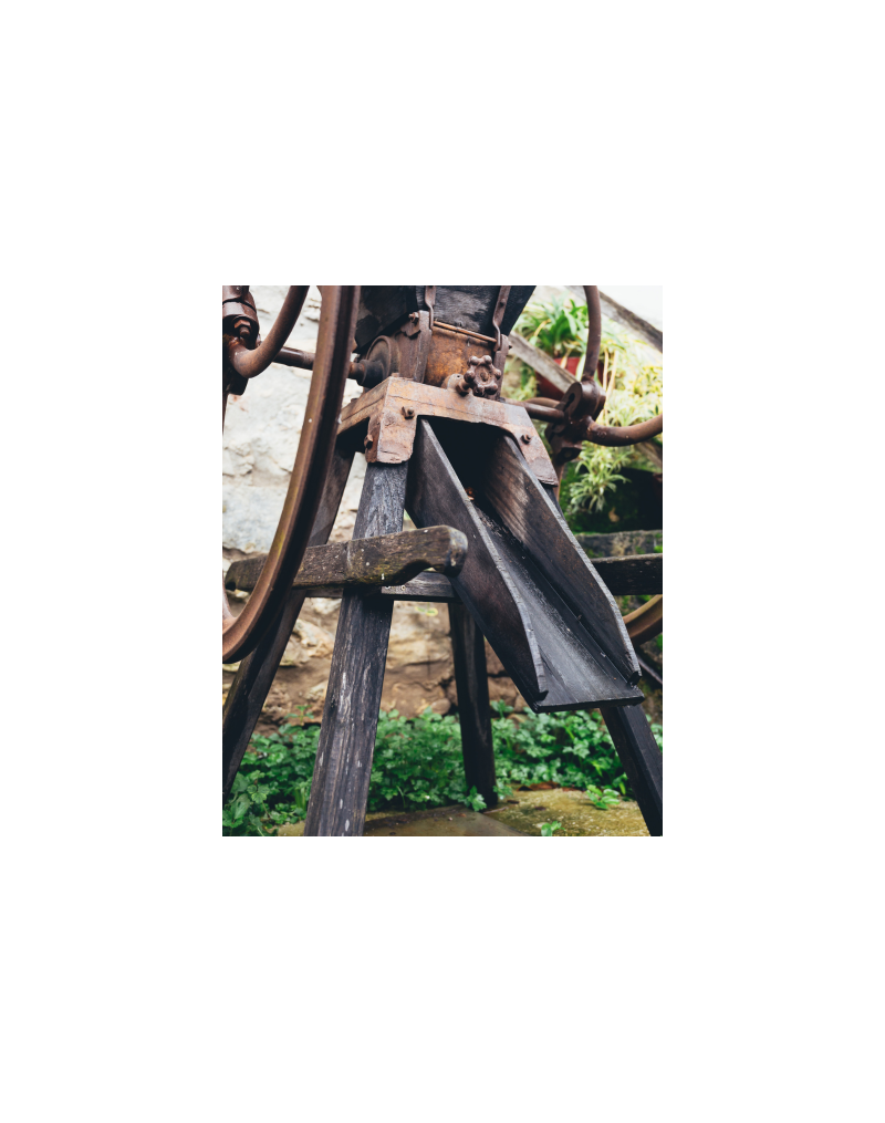 Bisita eta bazkaria Lizeaga sagardotegian