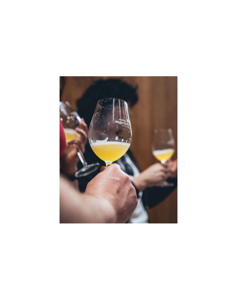 BASQUE CIDER AND RIOJA WINE TOUR | Sagardoa Route BASQUE CIDER AND RIOJA WINE TOUR | Sagardoa Route