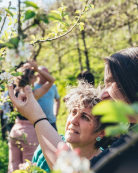 BASQUE CIDER AND RIOJA WINE TOUR | Sagardoa Route BASQUE CIDER AND RIOJA WINE TOUR | Sagardoa Route