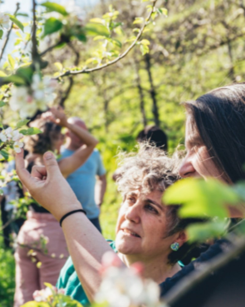 BASQUE CIDER AND RIOJA WINE TOUR | Sagardoa Route BASQUE CIDER AND RIOJA WINE TOUR | Sagardoa Route