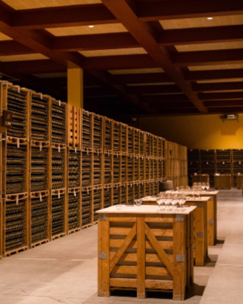 BASQUE CIDER AND RIOJA WINE TOUR | Sagardoa Route BASQUE CIDER AND RIOJA WINE TOUR | Sagardoa Route