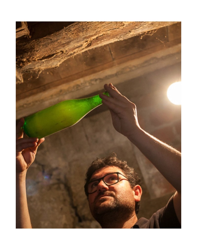 GUIDED TOUR IN A CIDER CELLAR GUIDED TOUR IN A CIDER CELLAR