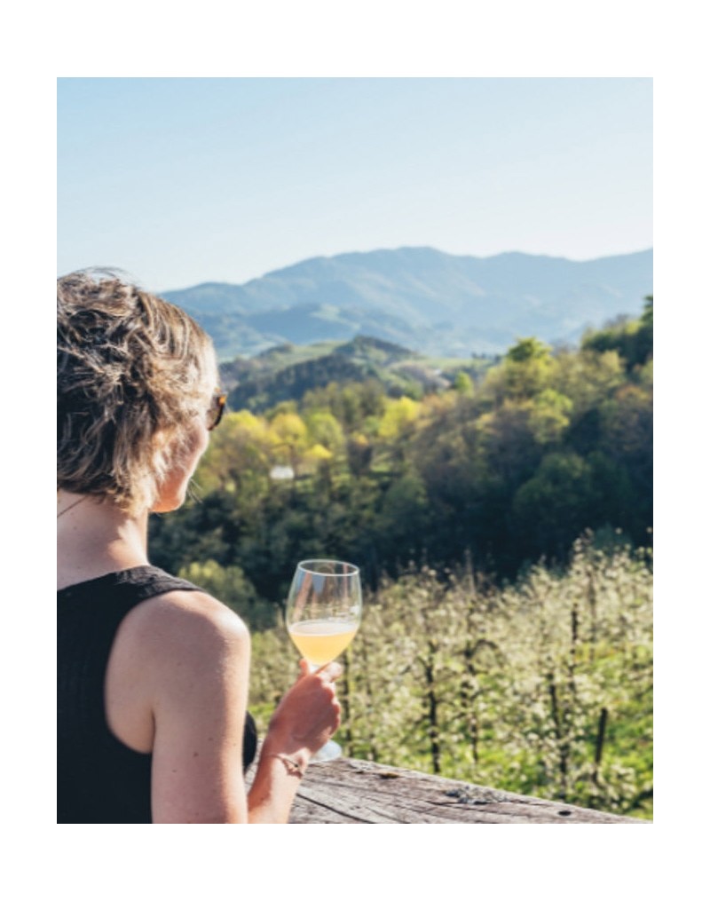 GUIDED TOUR IN A CIDER CELLAR GUIDED TOUR IN A CIDER CELLAR