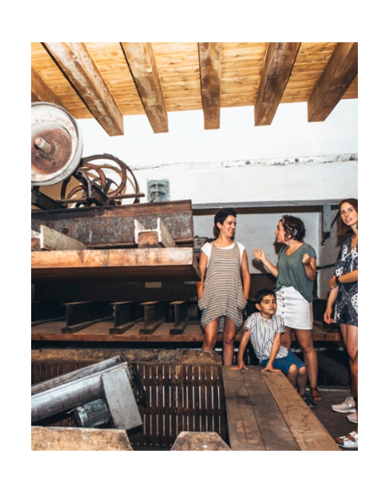 VISITE GUIDÉE DANS UNE CIDRERIE BASQUE