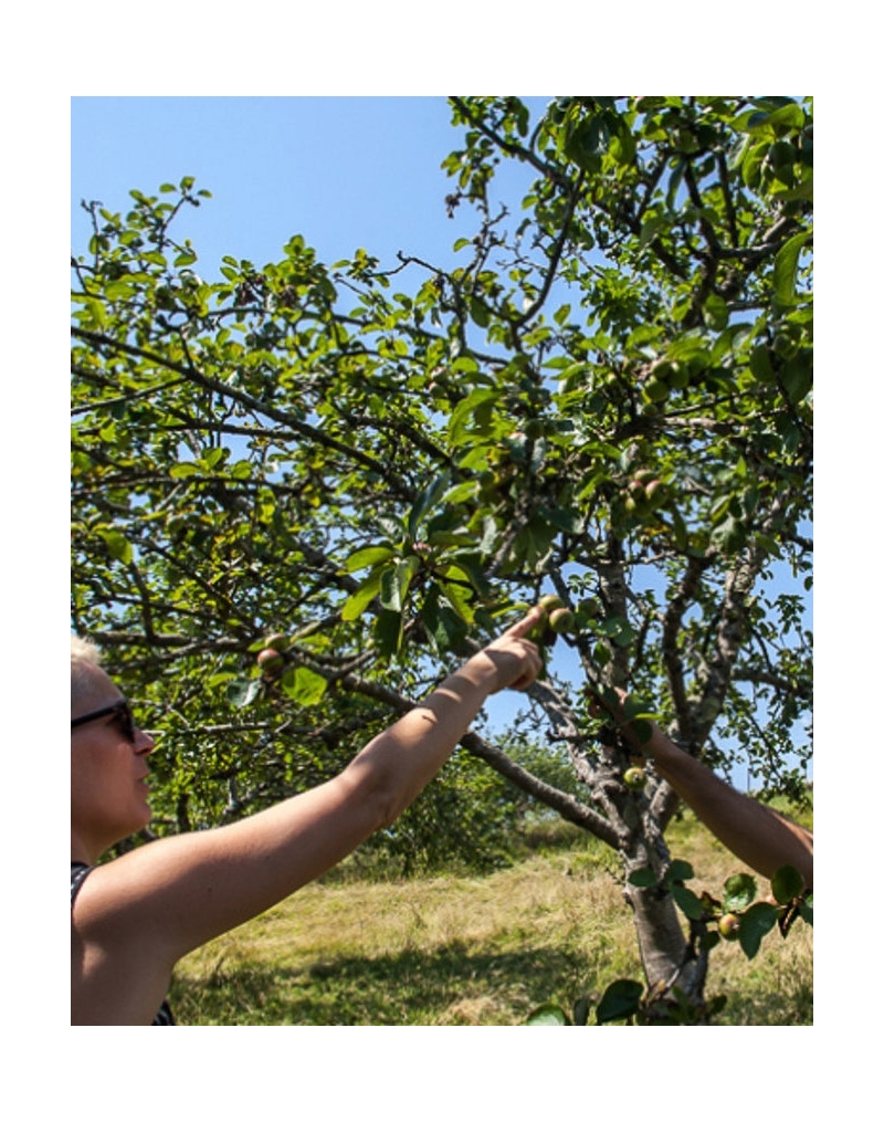 BISITA GIDATUA SAGARDOTEGIAN