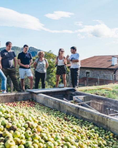 VISITE GUIDÉE DANS UNE CIDRERIE BASQUE