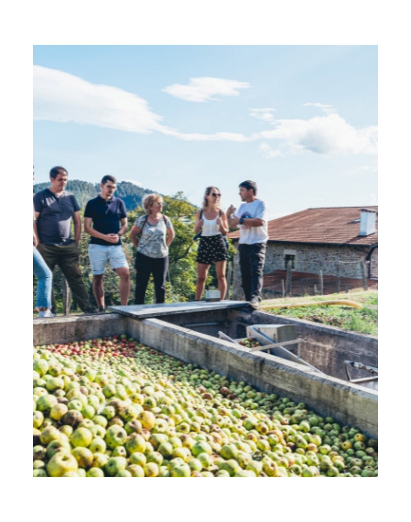 GUIDED TOUR IN A CIDER CELLAR GUIDED TOUR IN A CIDER CELLAR
