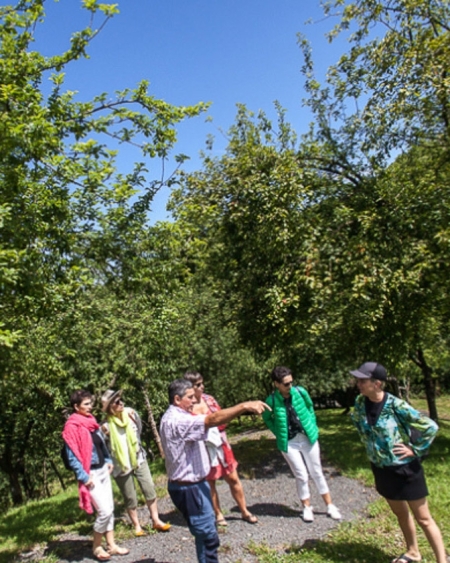 BISITA GIDATUA SAGARDOTEGIAN