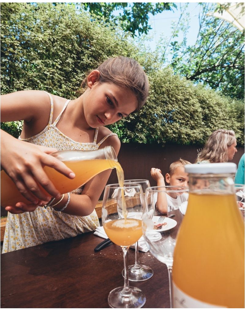 SAGAR ZUKU TAILERRA TOLARE BASERRIAN