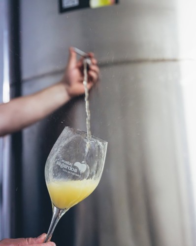 APPLE JUICE WORKSHOP IN A FARM CELLAR
