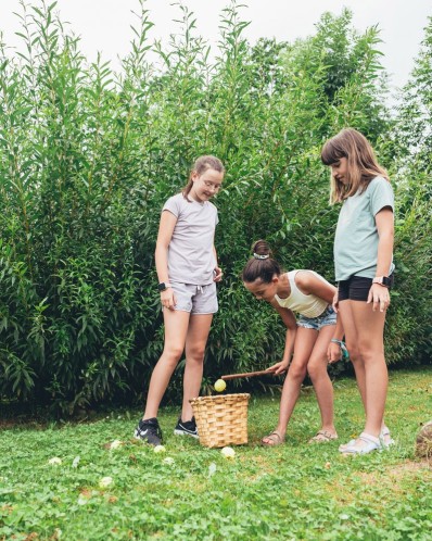 APPLE JUICE WORKSHOP IN A FARM CELLAR