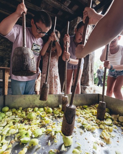 ATELIER DE JUS DE POMME DANS UNE FERME À CIDRE ATELIER DE JUS DE POMME DANS UNE FERME À CIDRE