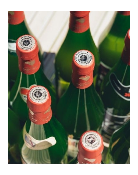 CATA GUIADA - BAKAILAO ASTEA