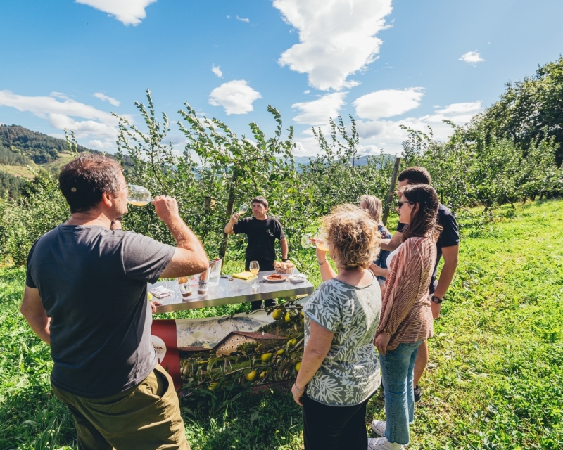 VISITA EN BODEGA DE SIDRA