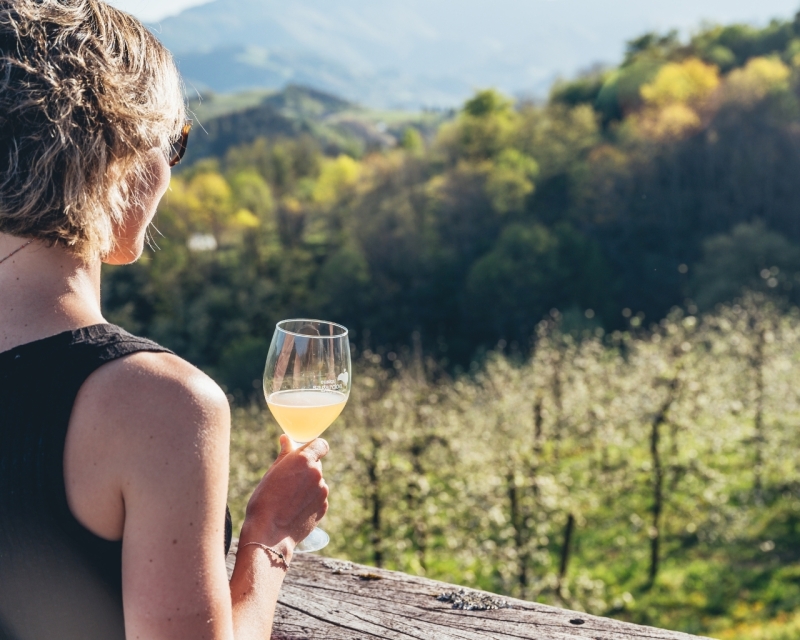 VISITA EN BODEGA DE SIDRA