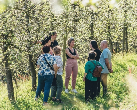 GUIDED TOUR IN A CIDER CELLAR
