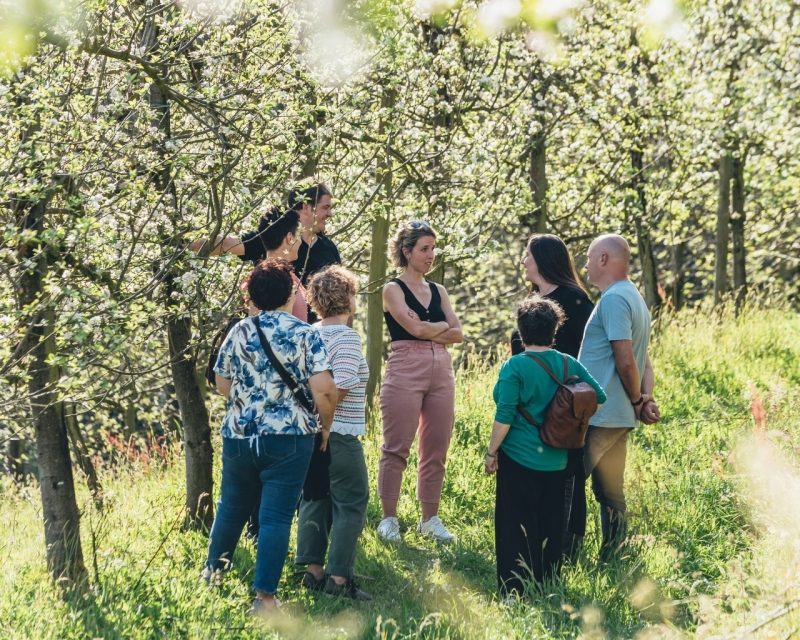 GUIDED TOUR IN A CIDER CELLAR