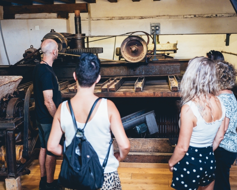 VISITA EN BODEGA DE SIDRA