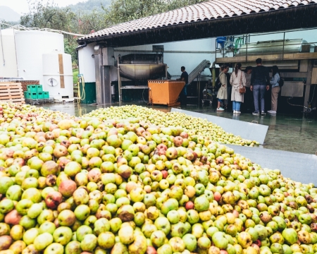 VISITA Y COMIDA EN LA SIDRERÍA OLA VISITA Y COMIDA EN LA SIDRERÍA OLA
