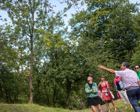 VISITÉ GUIDÉE ET DÉJEUNER DANS LA CIDRERIE OLA VISITÉ GUIDÉE ET DÉJEUNER DANS LA CIDRERIE OLA