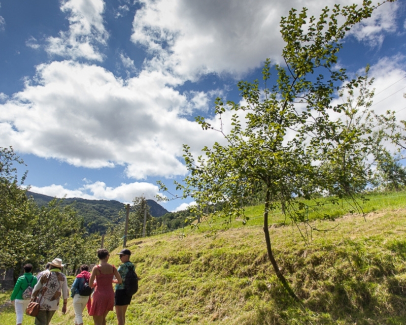 VISITÉ GUIDÉE ET DÉJEUNER DANS LA CIDRERIE OLA VISITÉ GUIDÉE ET DÉJEUNER DANS LA CIDRERIE OLA